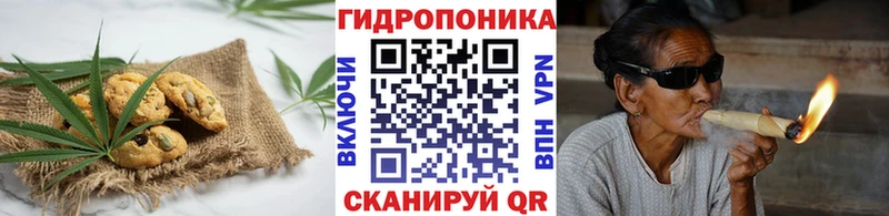 Купить где  Лосино-Петровский  Canna-Cookies конопля 