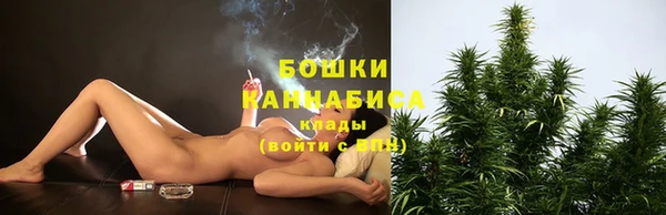 прущие крисы Инта