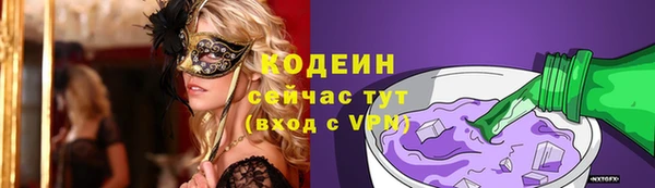 мяу мяу мука Иннополис