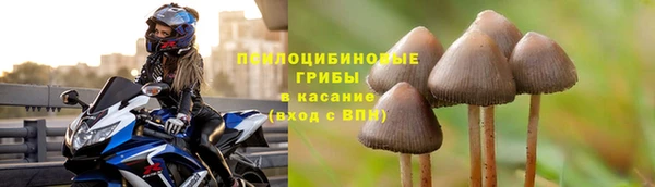 мяу мяу мука Иннополис