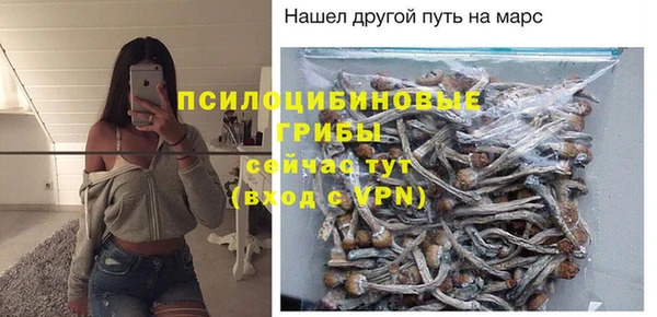 прущие крисы Инта