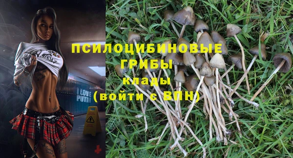 прущие крисы Инта