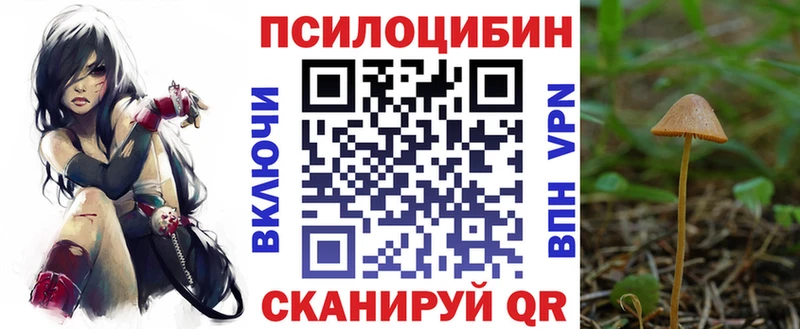 Купить закладки  Лосино-Петровский  Галлюциногенные грибы MAGIC MUSHROOMS 